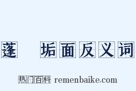 蓬頭垢面反义词是什么意思的图片